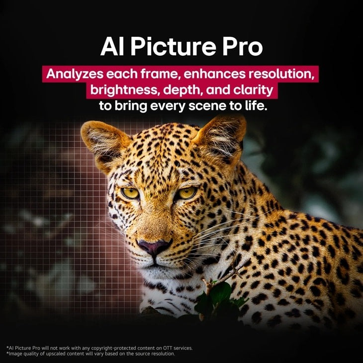 LG 77 Inch Class OLED evo AI C5 4K Smart TV 2025 OLED77C5