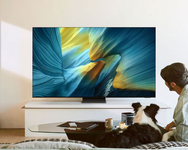 Samsung 55 Inch OLED S95F 100Hz 4K Samsung Vision AI Smart TV 55S95F