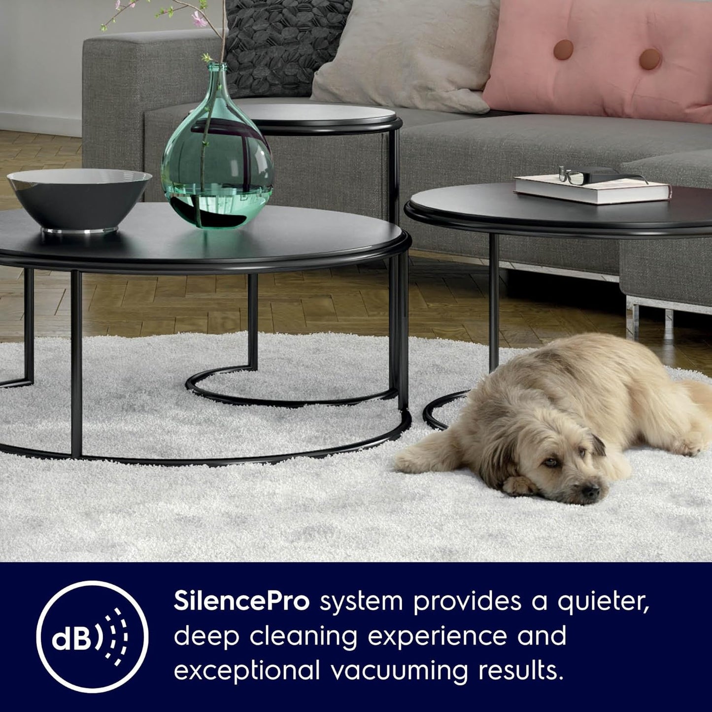 Electrolux SilentPerformer ZSPC2000 Bagless Canister Vacuum Cleaner