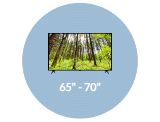 65–70-inch Smart TVs