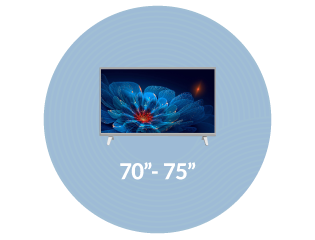 70–75-inch Smart TVs