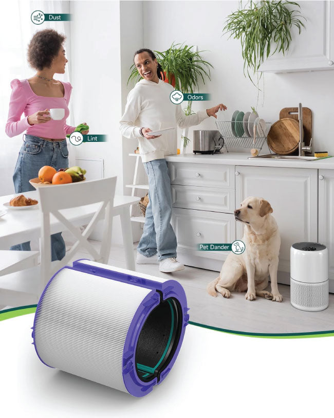 Future Way True HEPA Filter Replacement for Dyson TP04/HP04/DP04 Air Purifier, 360 Combi Glass Carbon Filter