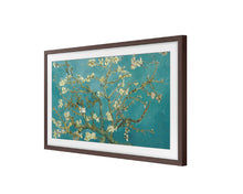 Samsung 55 Inch Bezel VG-SCFT55BWBXC - 55" The Frame Customizable Bezel Modern Brown - Buy Online in UAE