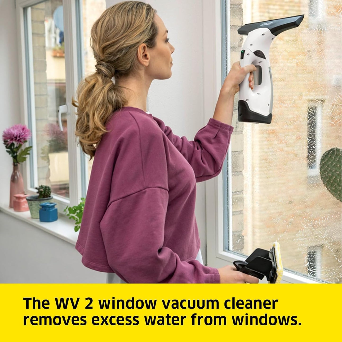Karcher WV 2 Plus Cordless Window Vacuum