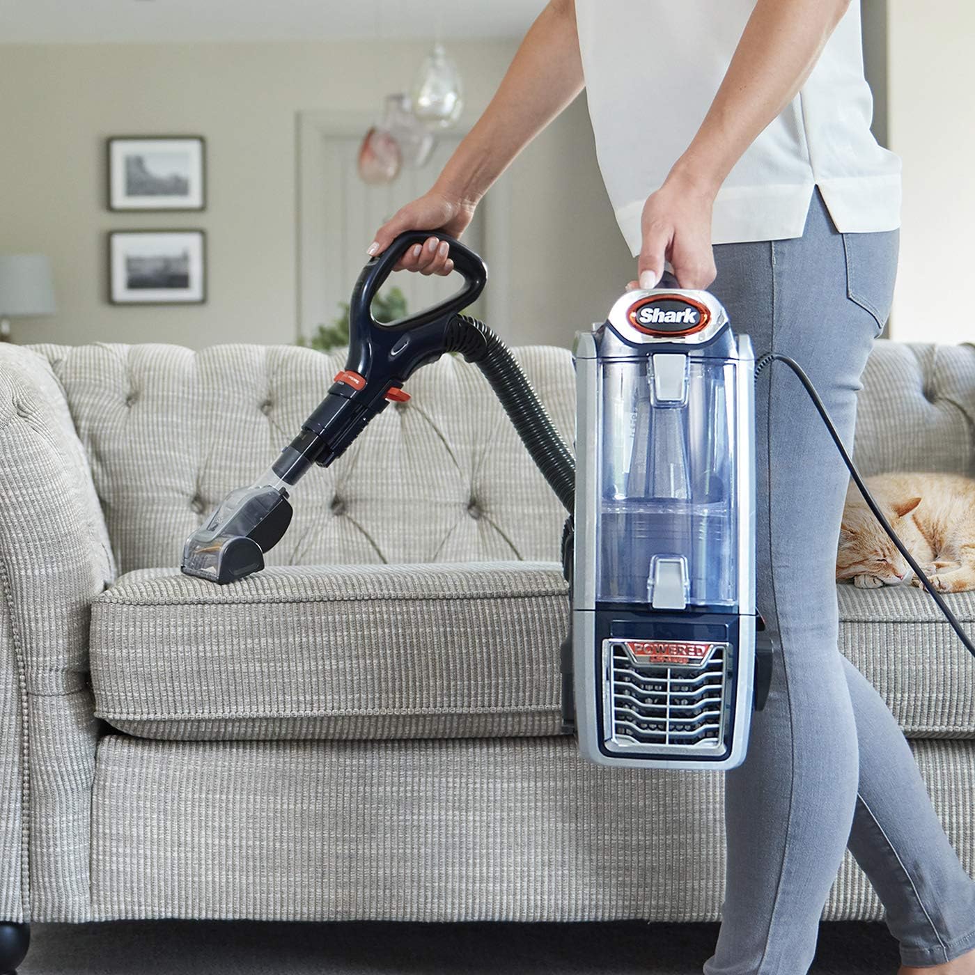 Shark NZ801EUT Anti Hair Wrap Upright Vacuum with Powered Lift-Away