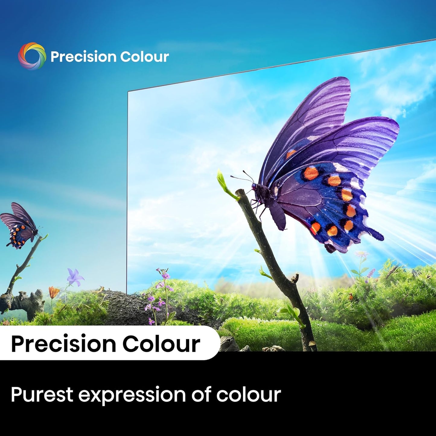 Hisense 50 Inch E6N 4K UHD Smart TV Dolby Vision Smooth Motion Game Mode Plus VIDAA OS 50E6N