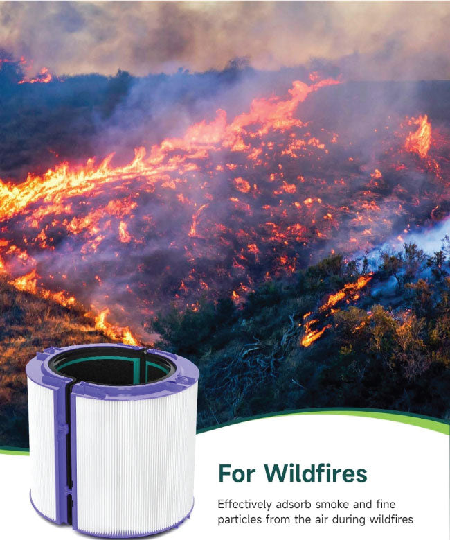 Future Way True HEPA Filter Replacement for Dyson TP04/HP04/DP04 Air Purifier, 360 Combi Glass Carbon Filter