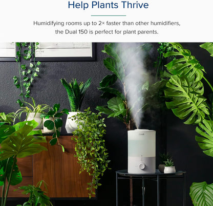 Levoit LUH-291 Ultrasonic Cool Mist Humidifier with Essential Oil Diffuser