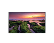 Samsung 55 Inch QBB Professional UHD 4K Display LH55QBBEBGCXXY