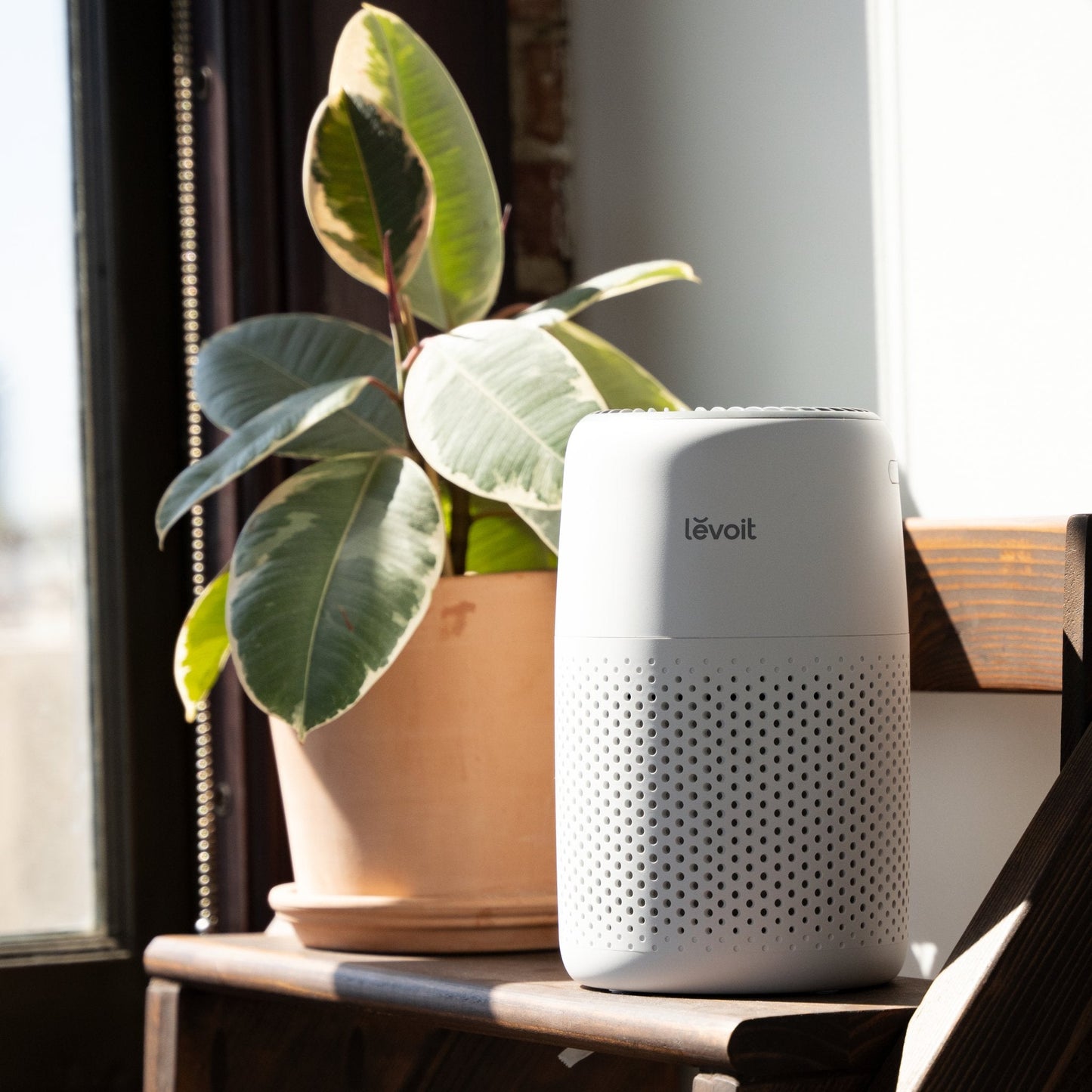 Levoit Core Mini-P Air Purifier by a window with a plant
